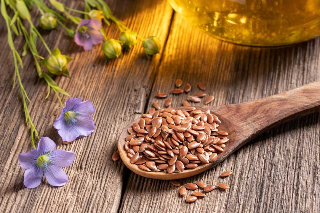 5 Reasons Why Should You Eat Flax Seeds in Pregnancy - Healthy Master